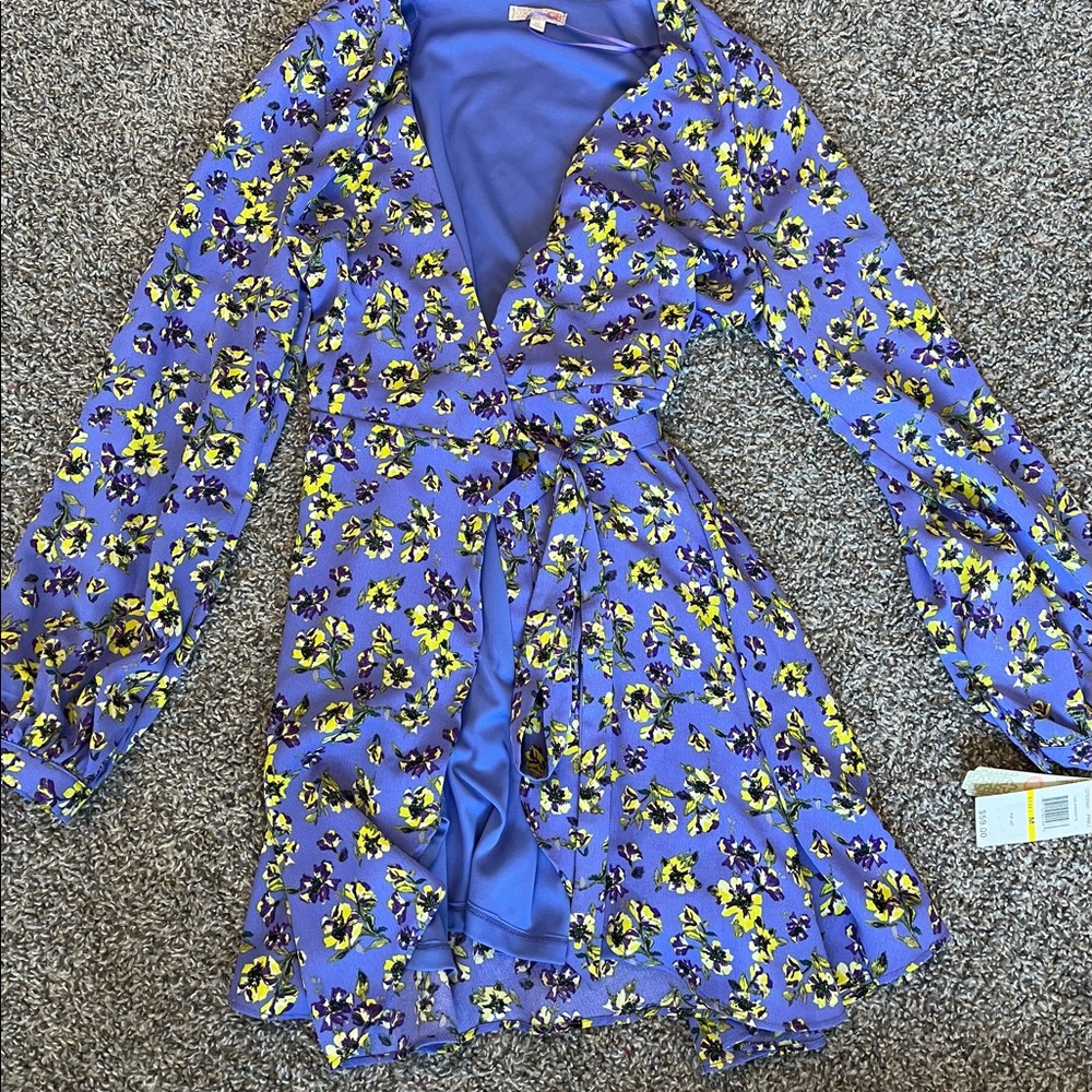 Same dress as previous but smaller size